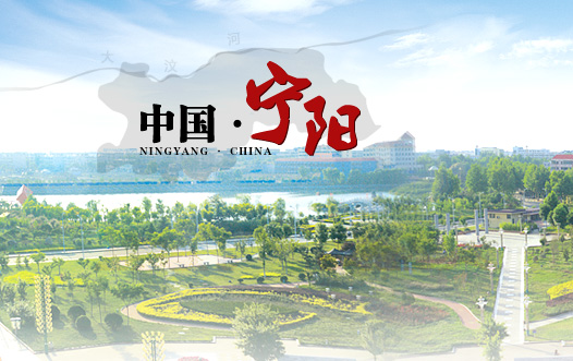 寧陽政府網
